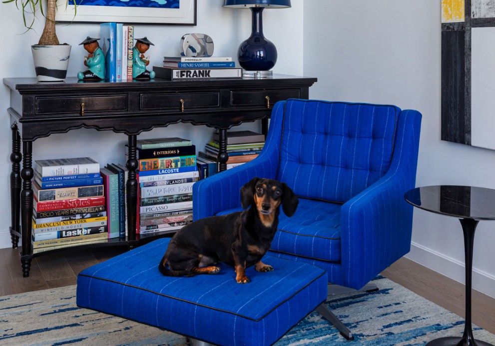 Home office with Scott's dachshund, Bailey