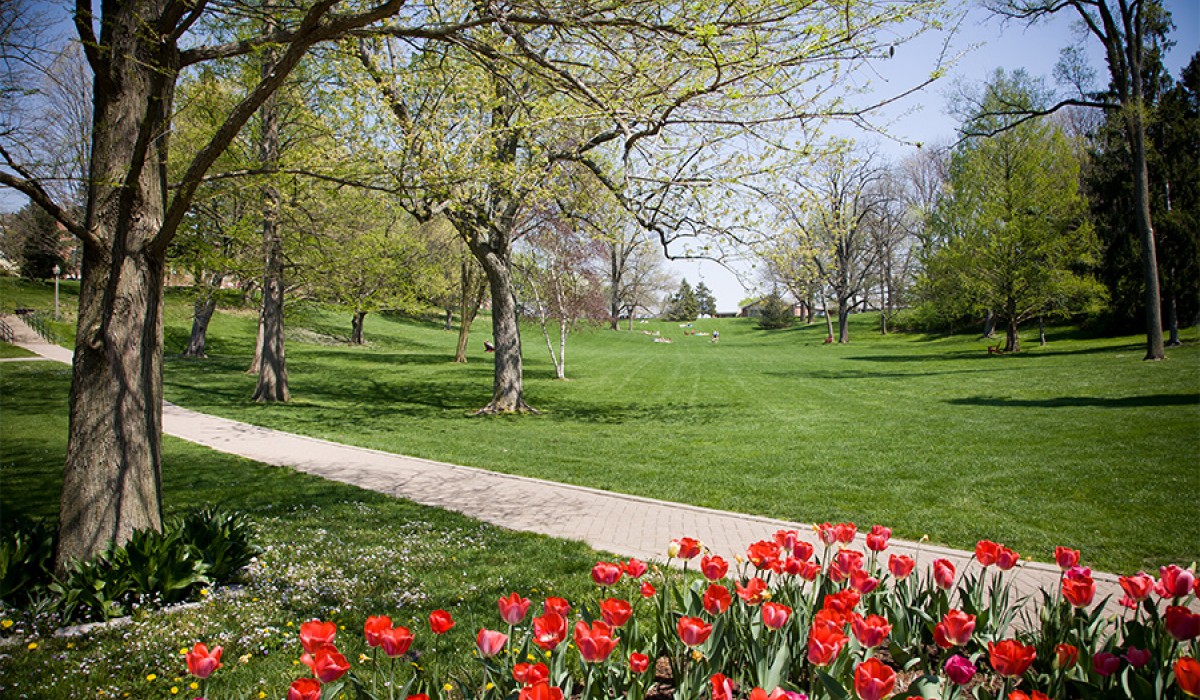 Myers Hollow in the Spring