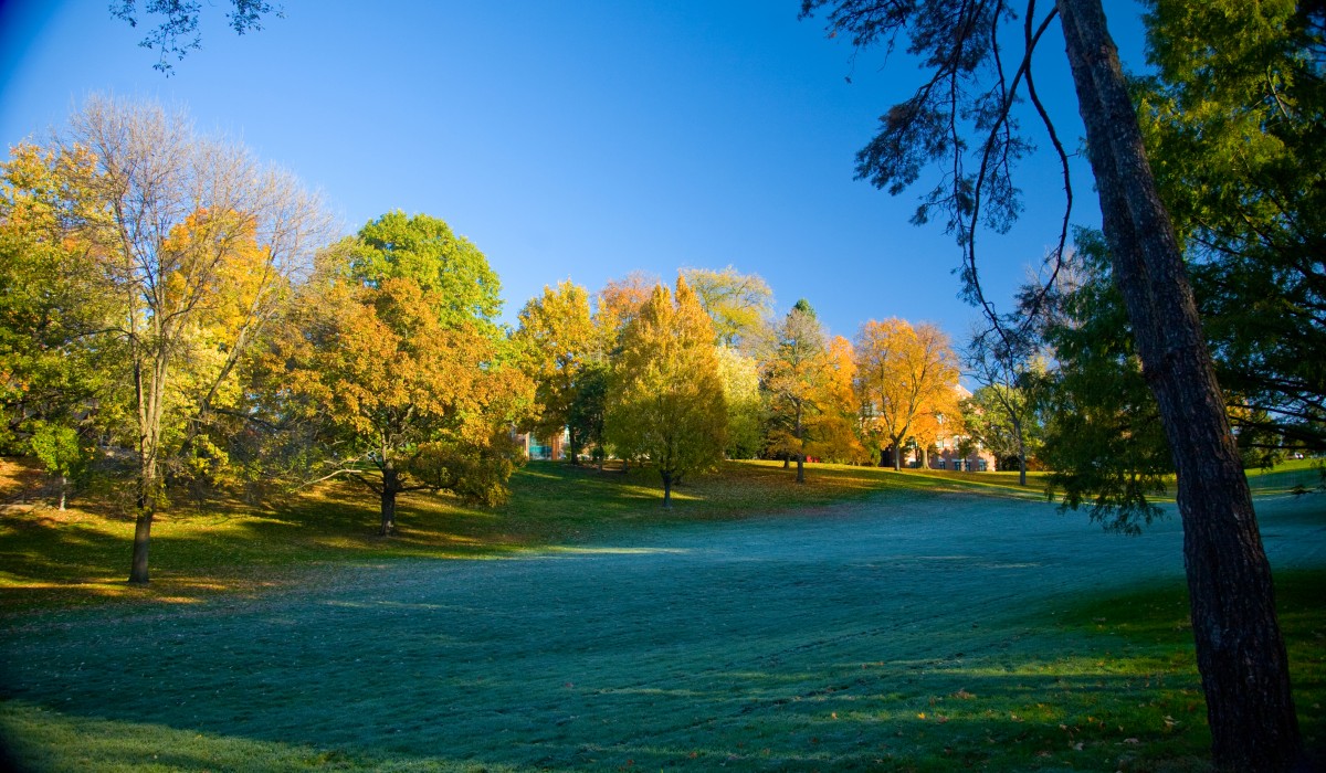 Myers Hollow brisk morning