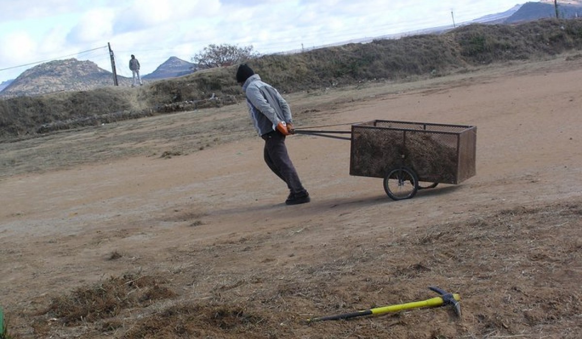 Student Pulling Cart