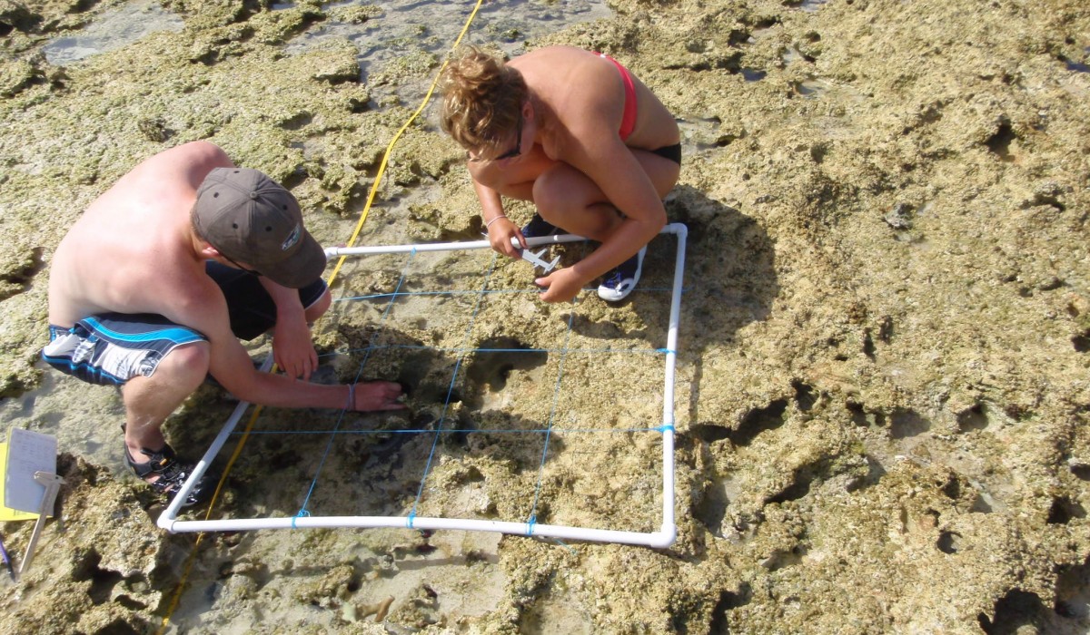Coral Lesson Bahamas 2010