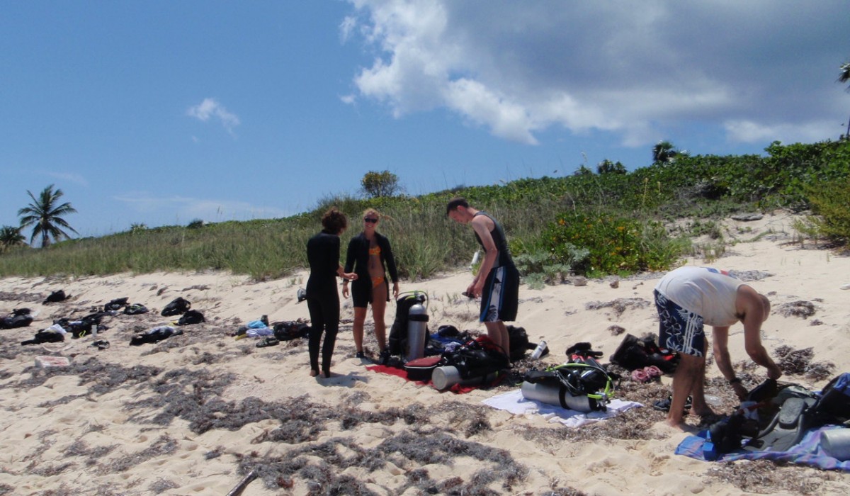 divers bahamas 2010