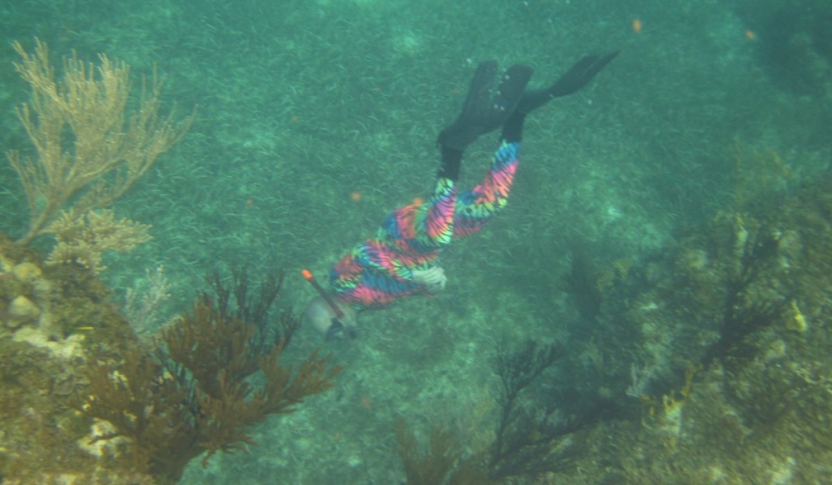 diving suit bahamas 2010