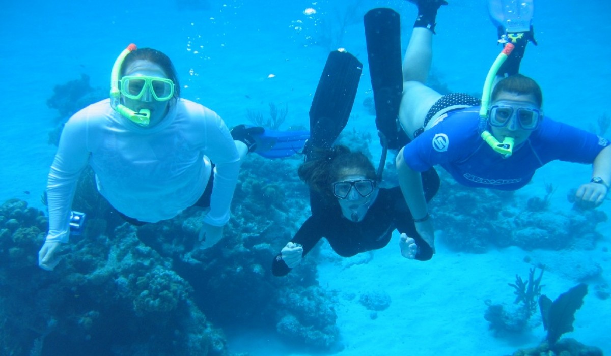 bloggers bahamas 2010
