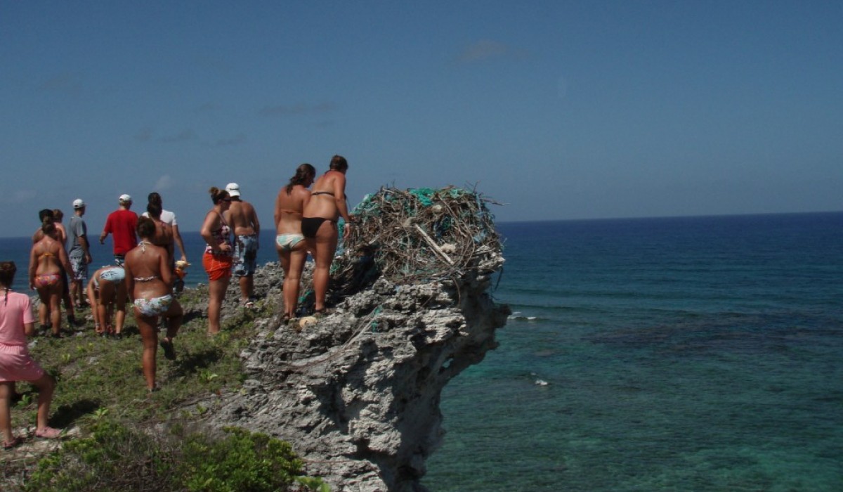 nest bahamas 2010