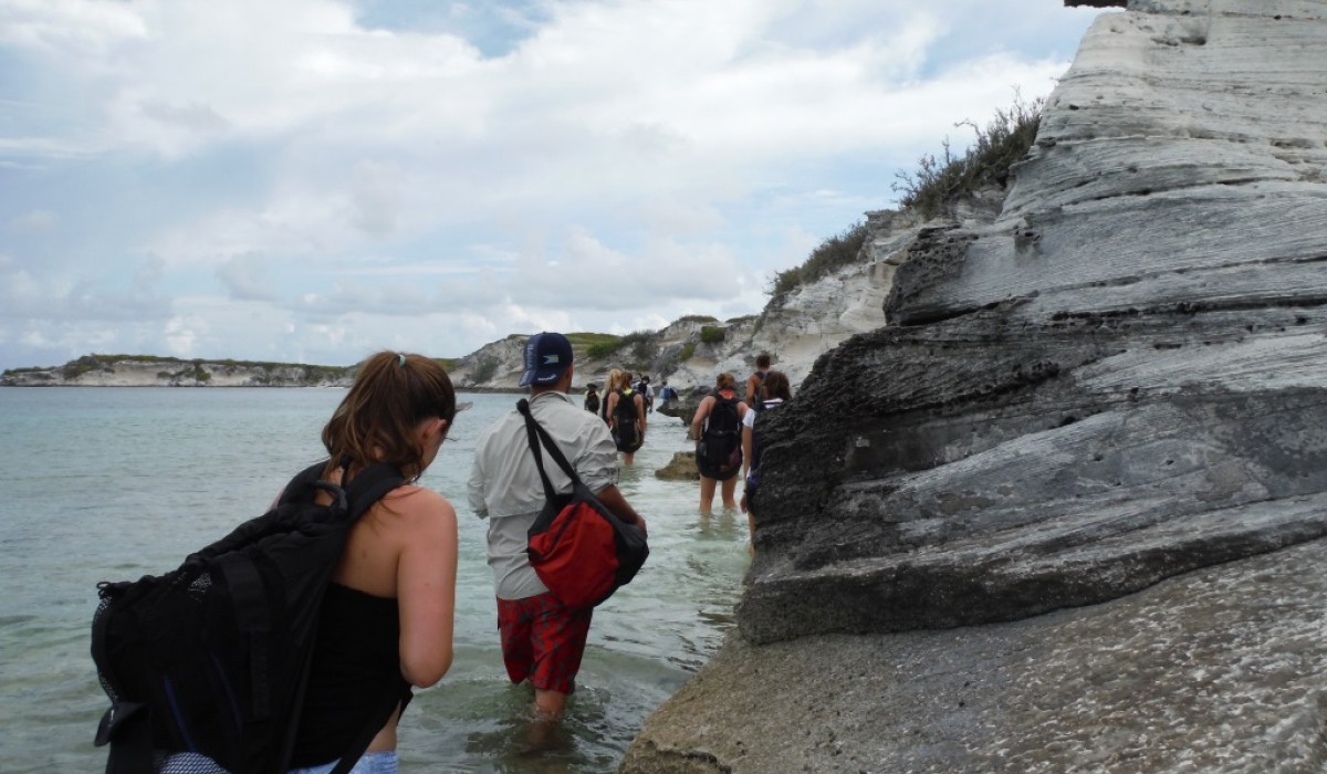 Students Wading In The Water