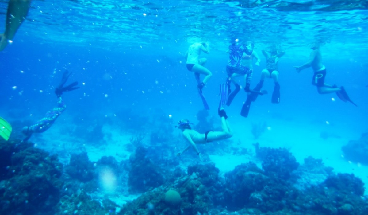 Snorkelers