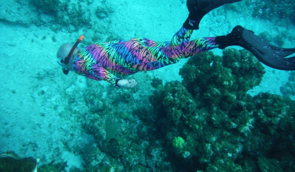 Divers Viewing Coral