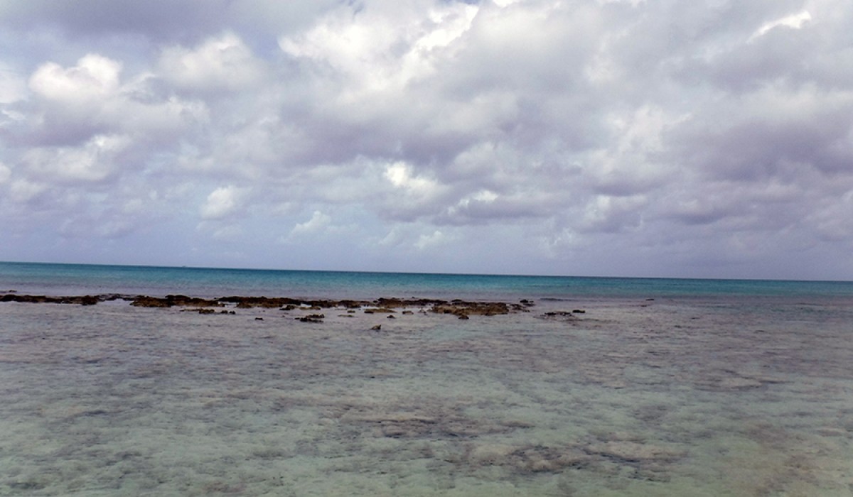 Rock exposure due to falling tide at Bonefish Bay