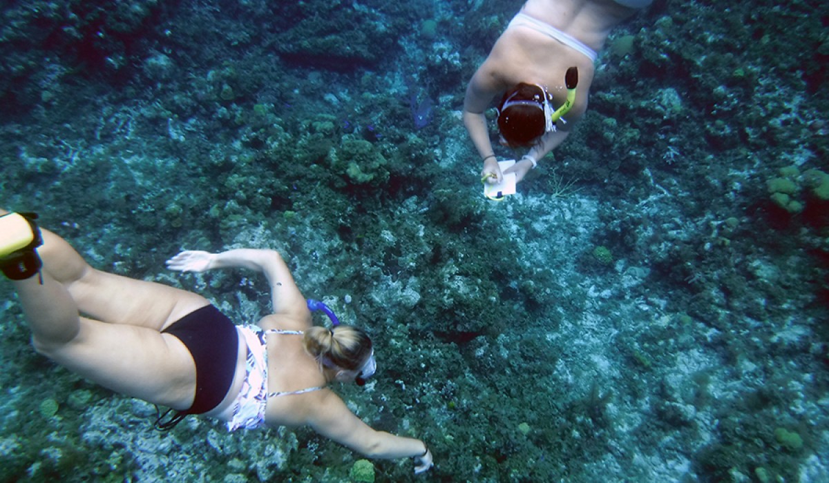 Caylin and Emily diving down to get a better look at some Blue Tangs