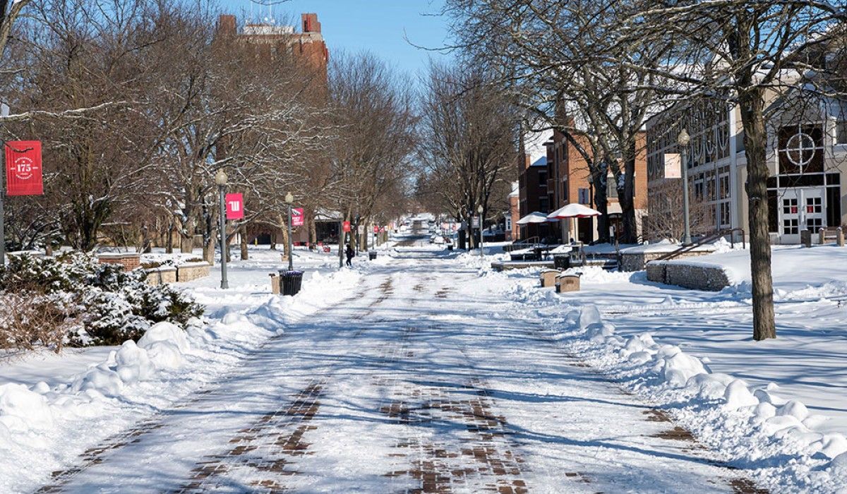 Alumni Way in Winter