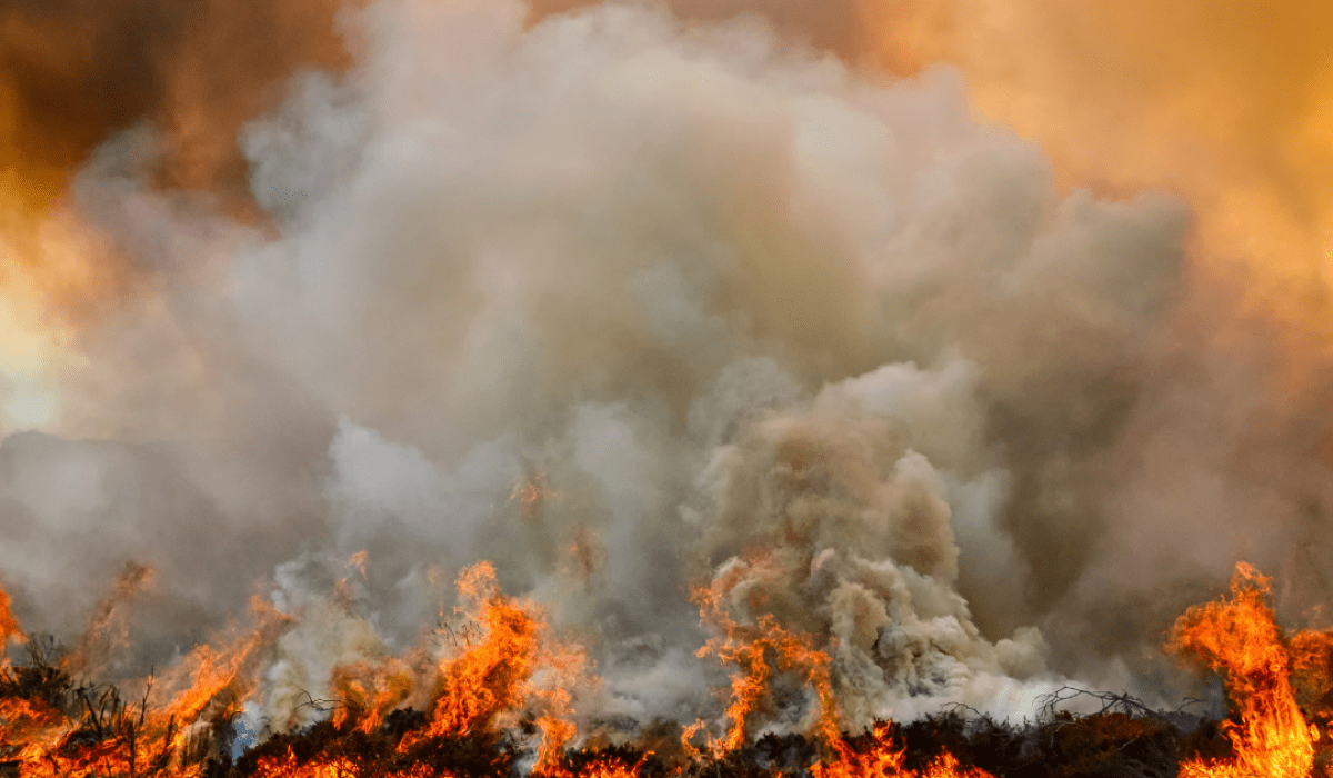 Canada Wildfires