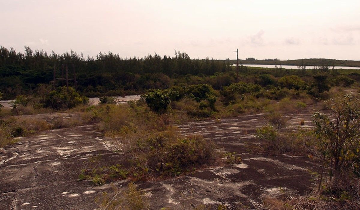 Catchment Basin behind Gerace Research Center