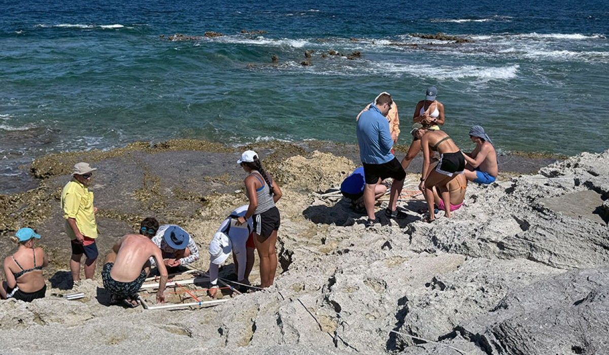 The intertidal survey we conducted today