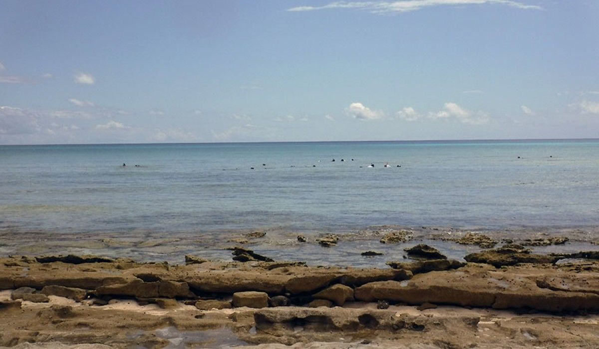 View of snorkelers in shallow water near shore