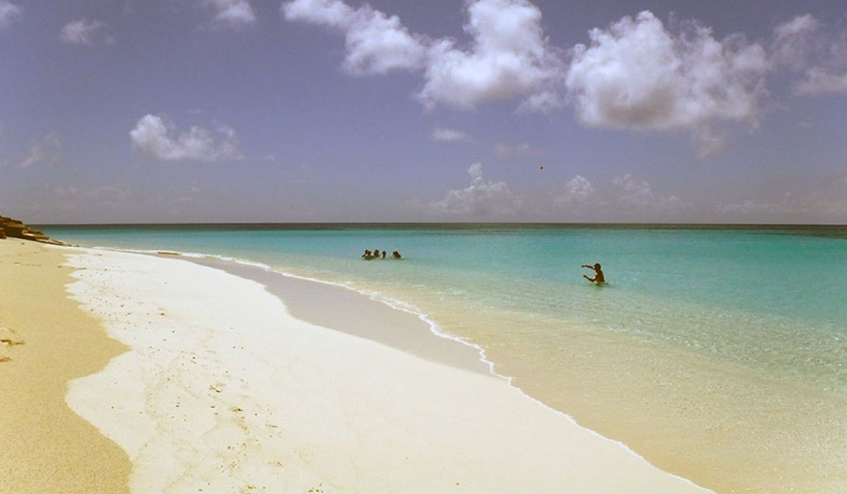 students playing in the ocean