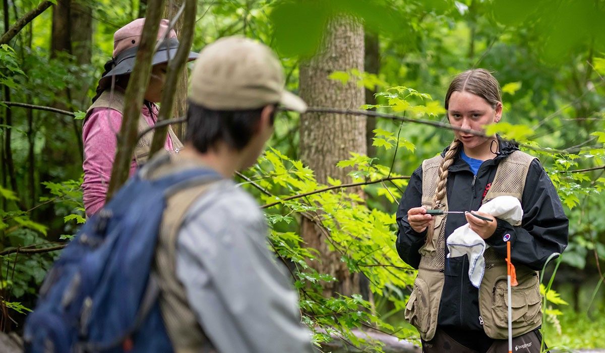 Turtle Research Wittenberg Students