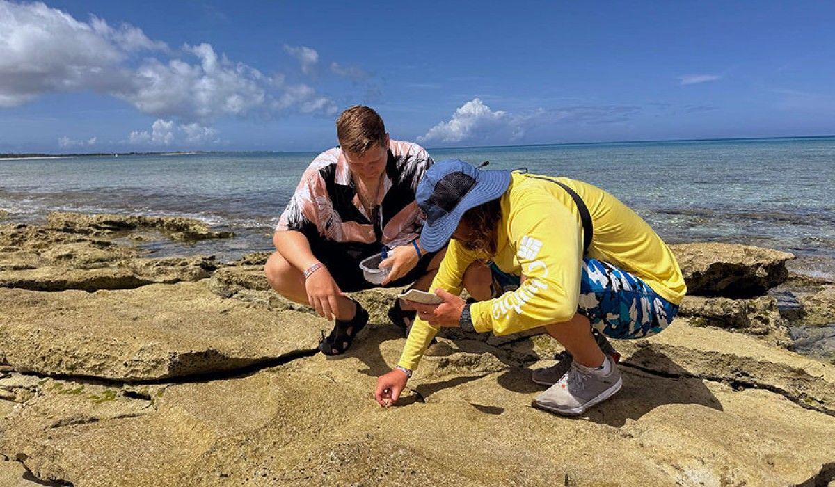 students watching snails move for their research project