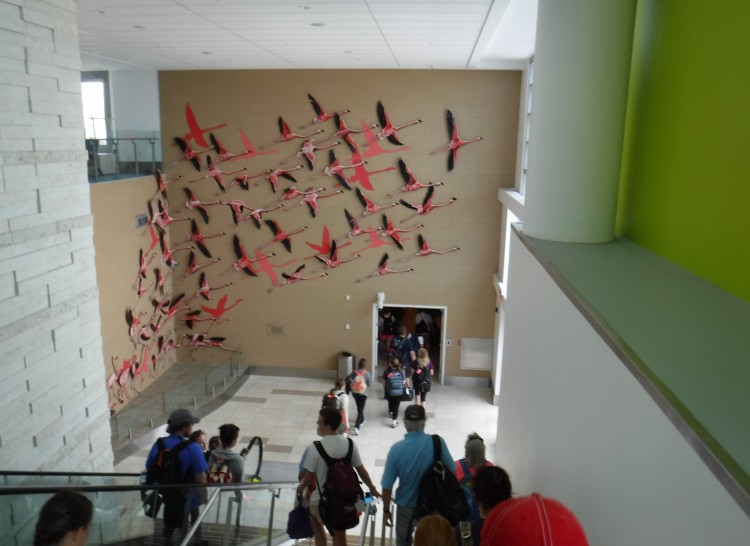 Airport flamingoes