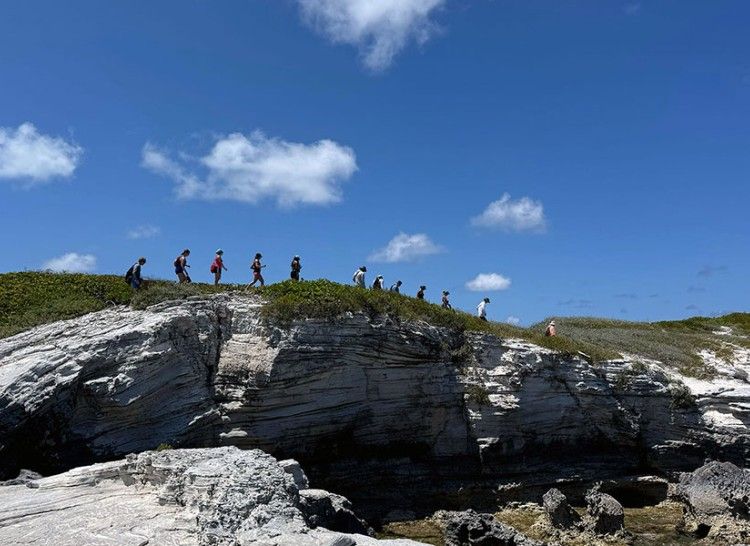 Wittenberg Students Hiking Bahamas