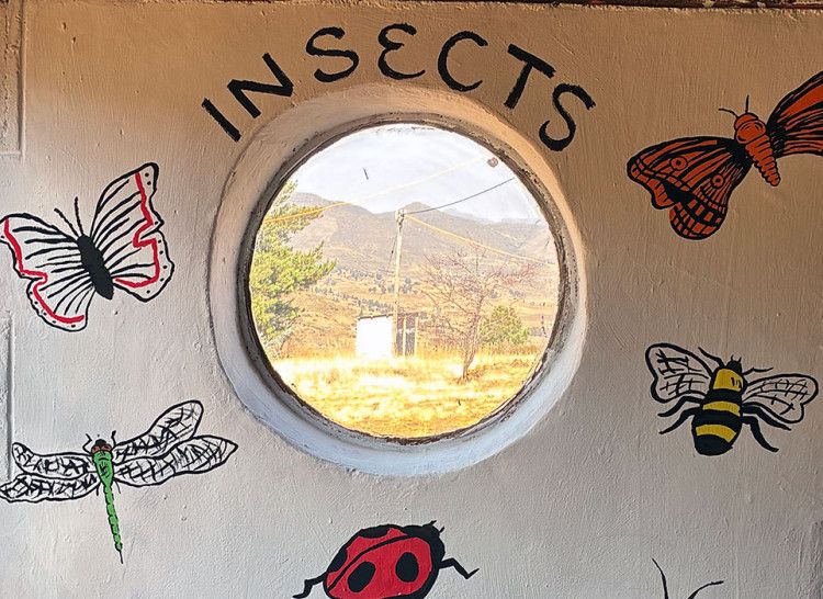 Wittenberg University Students Lesotho