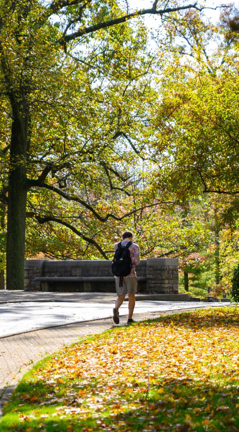 visit witt
