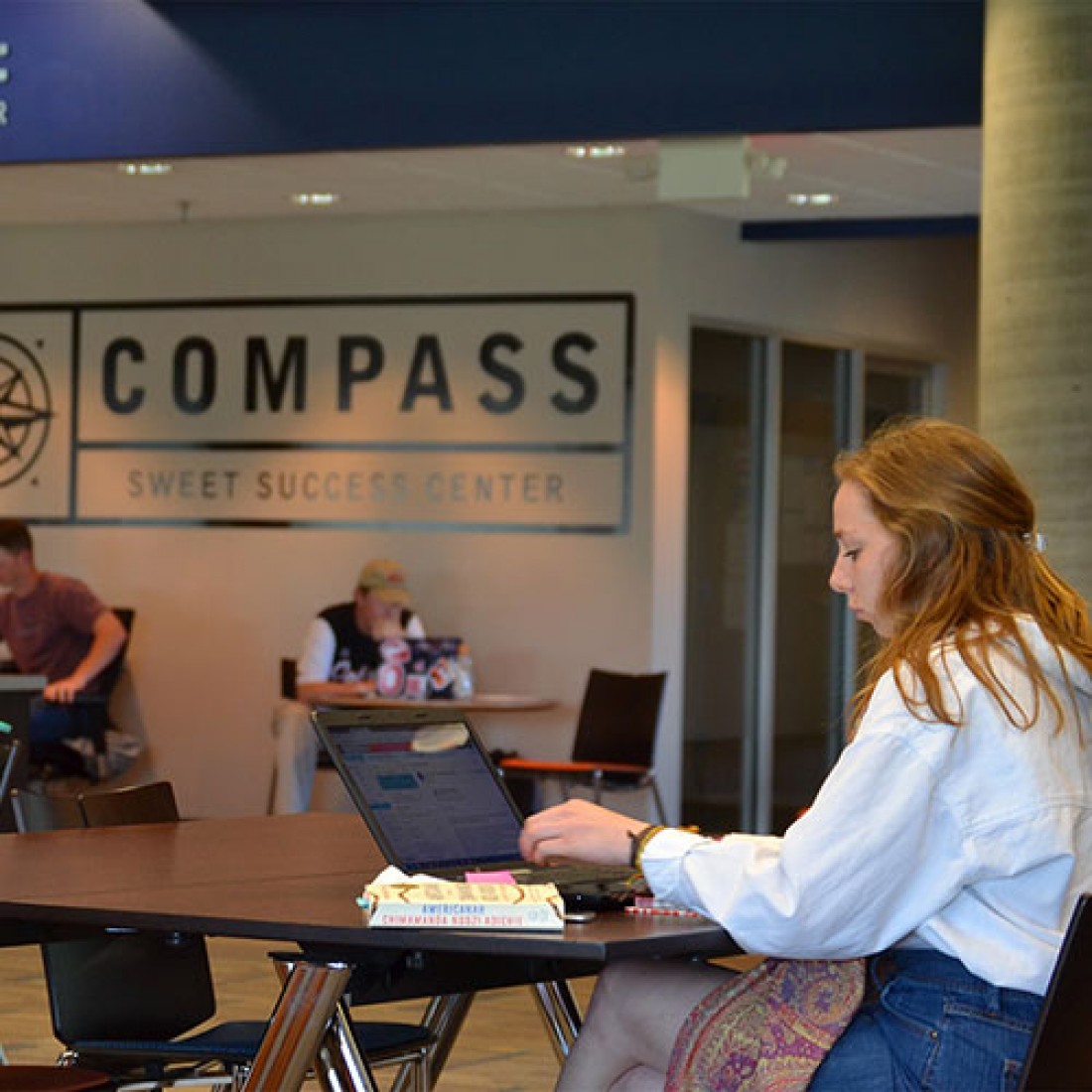 Students in COMPASS