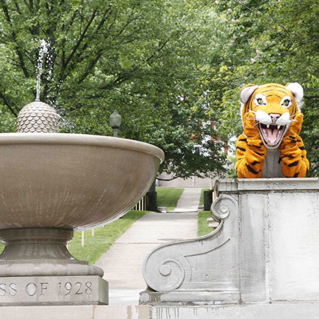 Wittenberg's Ezry the Tiger