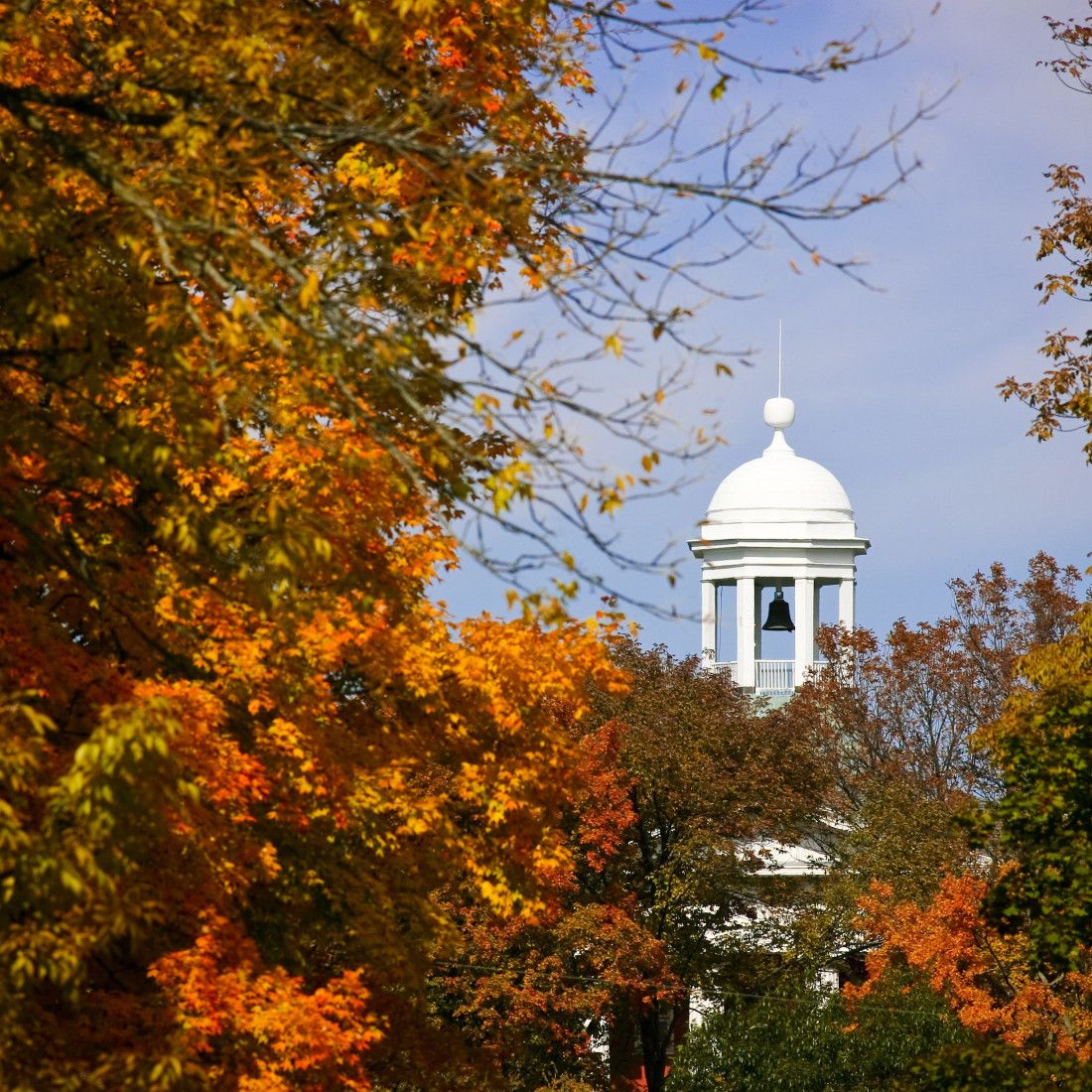 Myers Cupola Fall