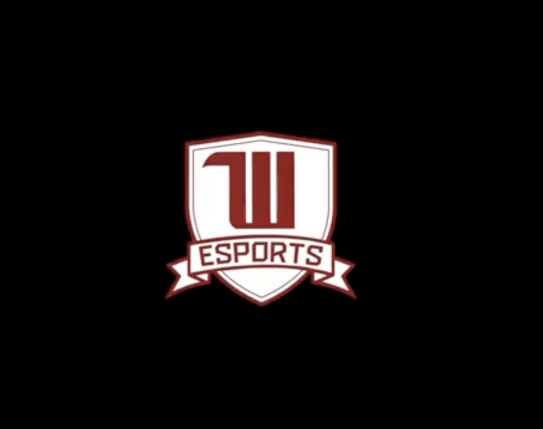 Esports Logo Video Screenshot